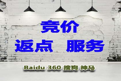 从小白到高手：网站sem托管的进化之路